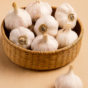 Garlic